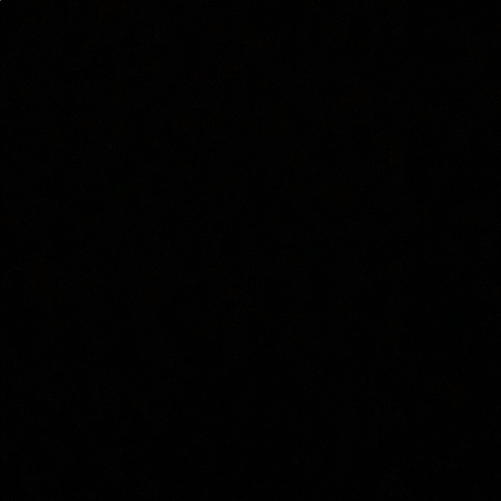 Meet your Posher, Lilah